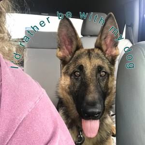 Meet your Posher, Shellie